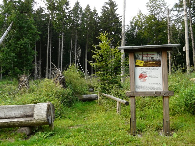 Kyrill-Pfad in der Waldemei
